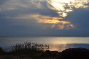Какая охраняемая территория, прилегающая к Псковско-Чудскому озеру, имеет международный статус?